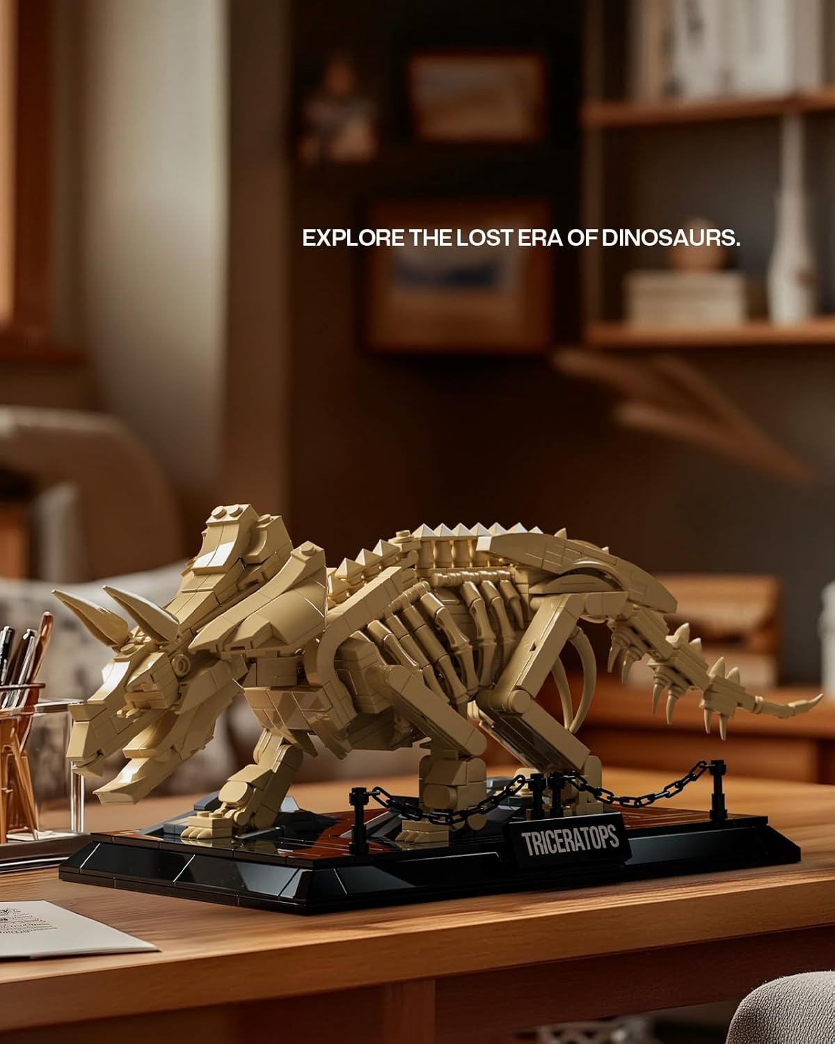 Triceratops Fossil Model Set, Dinosaur Skeleton Building Set for Adults and Coll