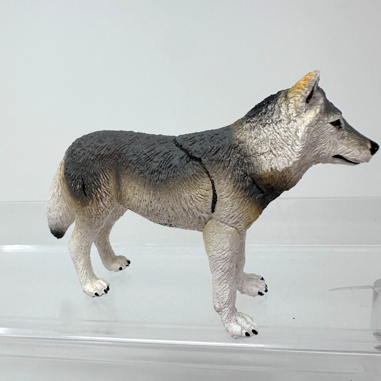 Safari Ltd Gray Wolf Figure Wild Dog Wildlife Zoo Jungle Animal Figurine 4″ 2020