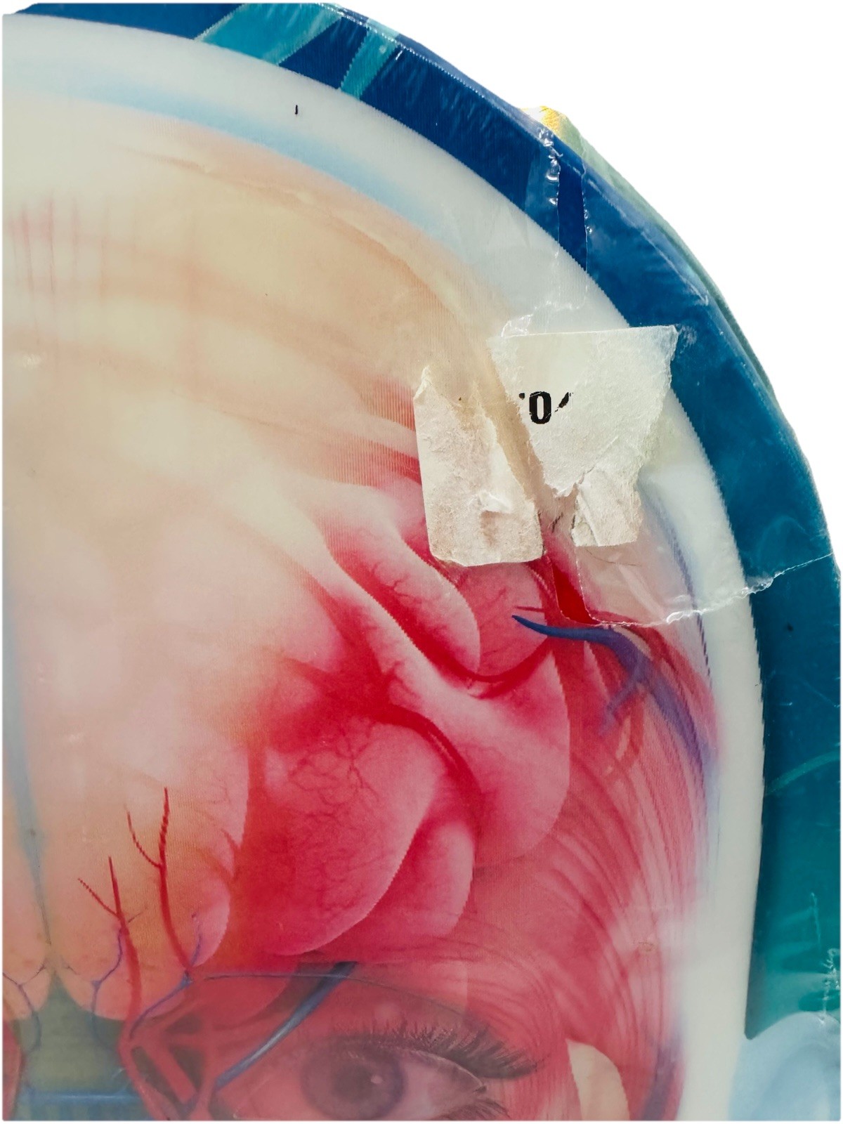 Adventures in Science: The Human Body Interactive Learning Kit 3D