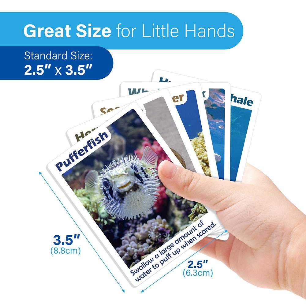 Go Fish Card Game for Kids 104 Cards Ocean Theme Memory Matching Game Fun Facts