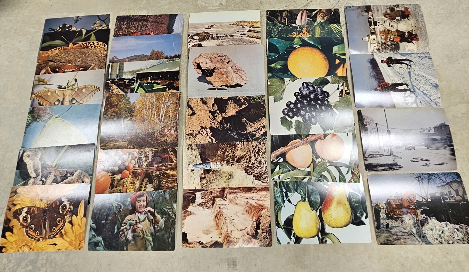 28 1960’s Educational Aids 18″x13″ Cards Erosion Fruit Farming Weather Butterfly