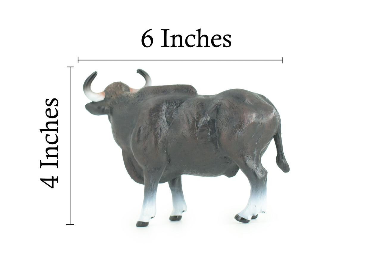 Gaur Bull Toy, Black, Realistic Hand Painted Rubber Cow, 6 Inches CH937 BB206