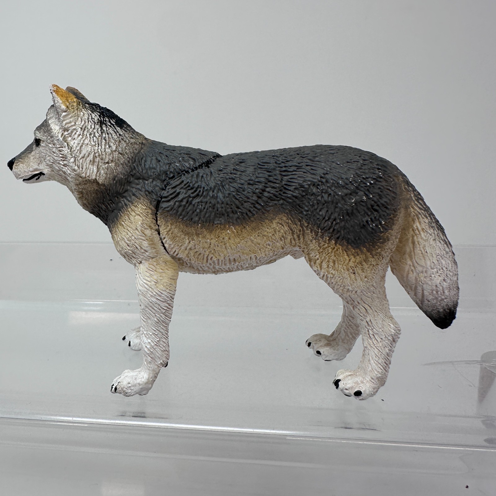 Safari Ltd Gray Wolf Figure Wild Dog Wildlife Zoo Jungle Animal Figurine 4″ 2020