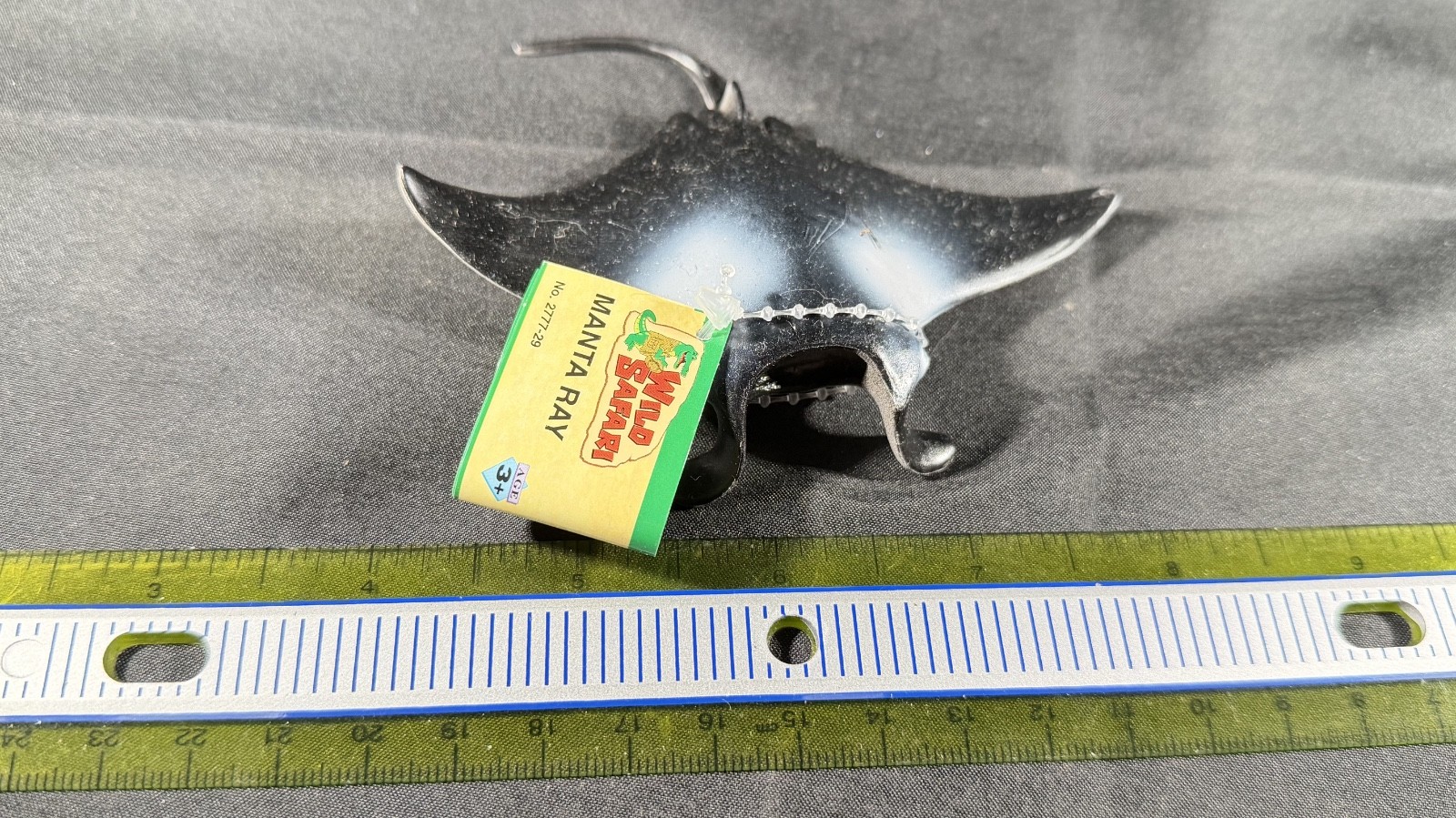 Manta Ray Sea Life Safari Ltd 2004 With tag