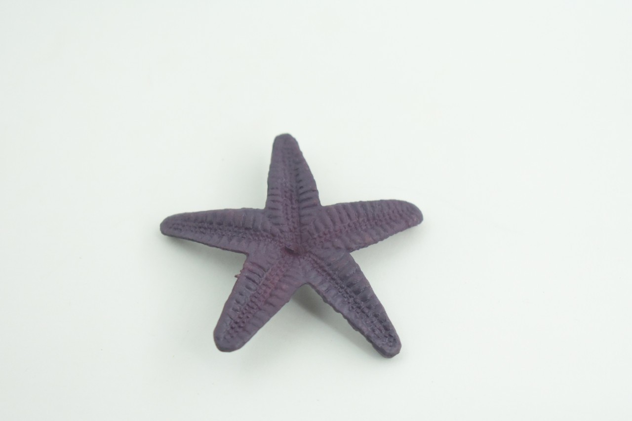 Toy Starfish, Purple, Sea Star, Realistic, Model, Gift, 2 1/2 Inches CWG49 B197