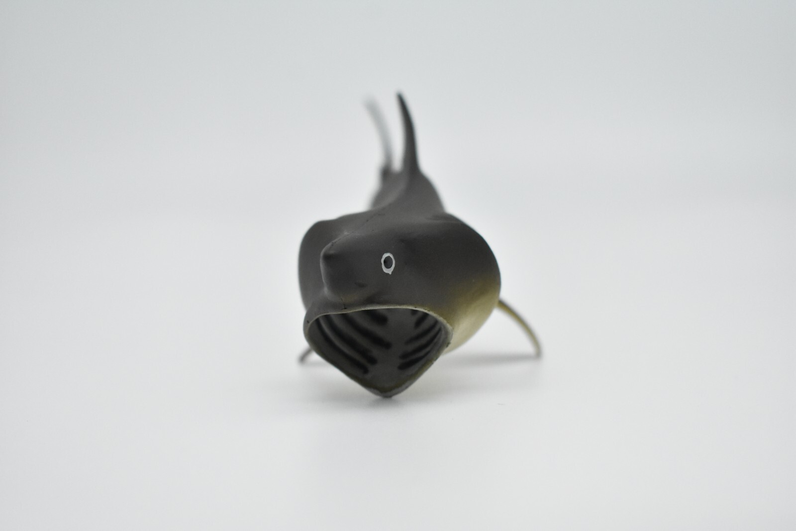 Basking Shark, Museum Quality Plastic Toy Figurine Model 5.5″ F1773 B97
