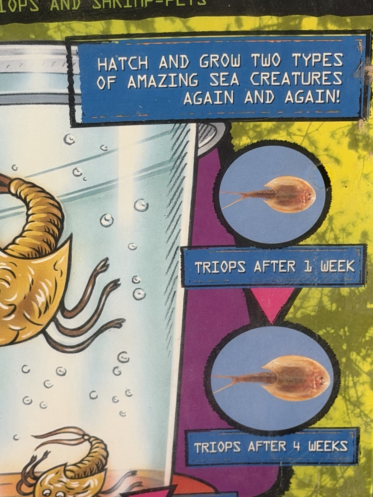NEW NOS Outback Wildlife Prehistoric Sea Monsters Kit Triops & Shrimp Pets 1998