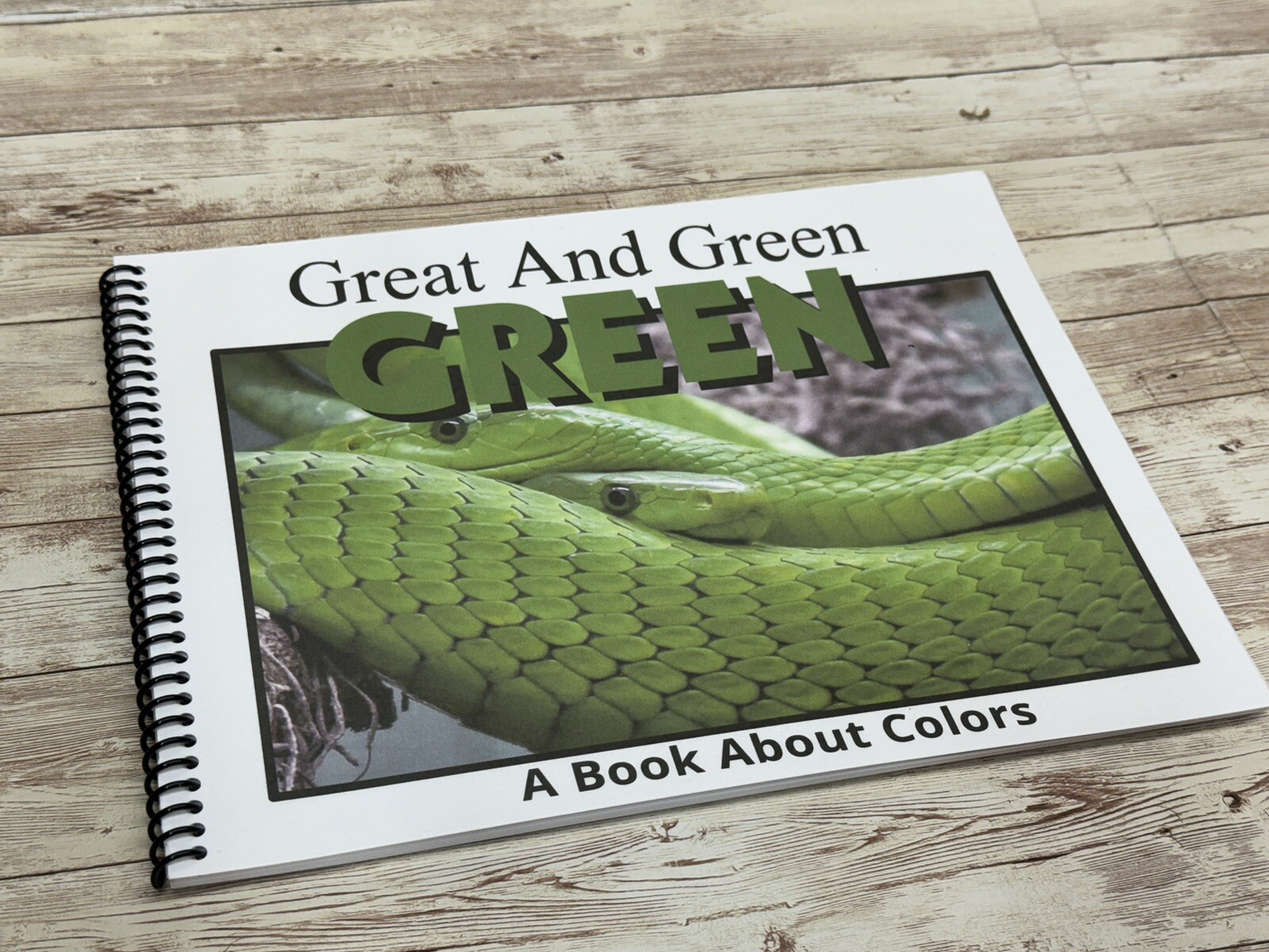 Colors Series – 6 Book Set | LEARNING COLORS | Spiral Bound Picture Book SET 1