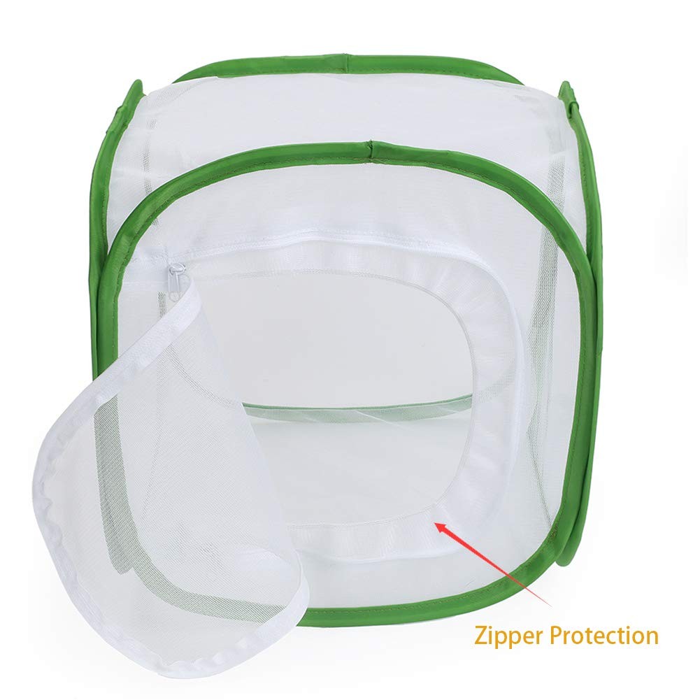 RESTCLOUD Insect and Butterfly Habitat 12 X 12 X 12 Inches, White with Green