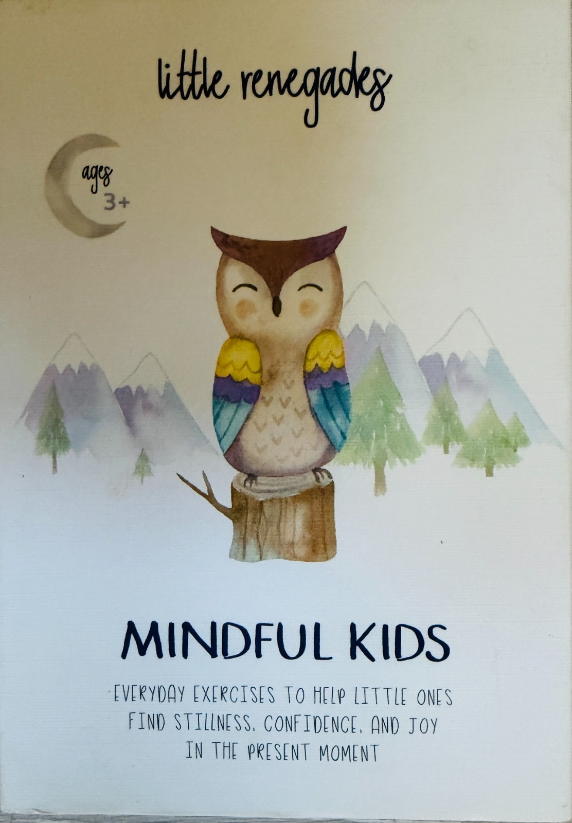 Little Renegades Mindful Kids Cards Ages 3+ Daily Exercises of Mindfulness New