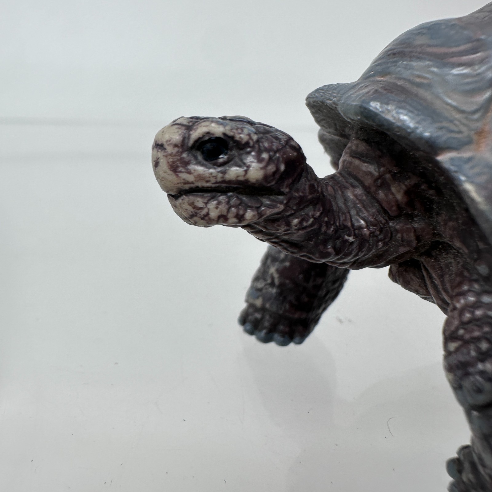 Schleich Tortoise Figure Gray Land Turtle Wildlife Zoo Safari Animal Figurine 3″