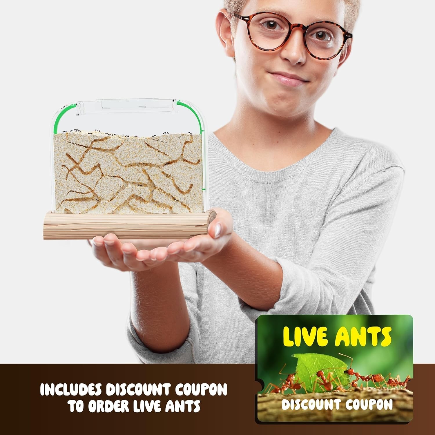 Ant Farm Kit for Kids – Farms Colony – Includes Ants Voucher – Sand Habitat K…