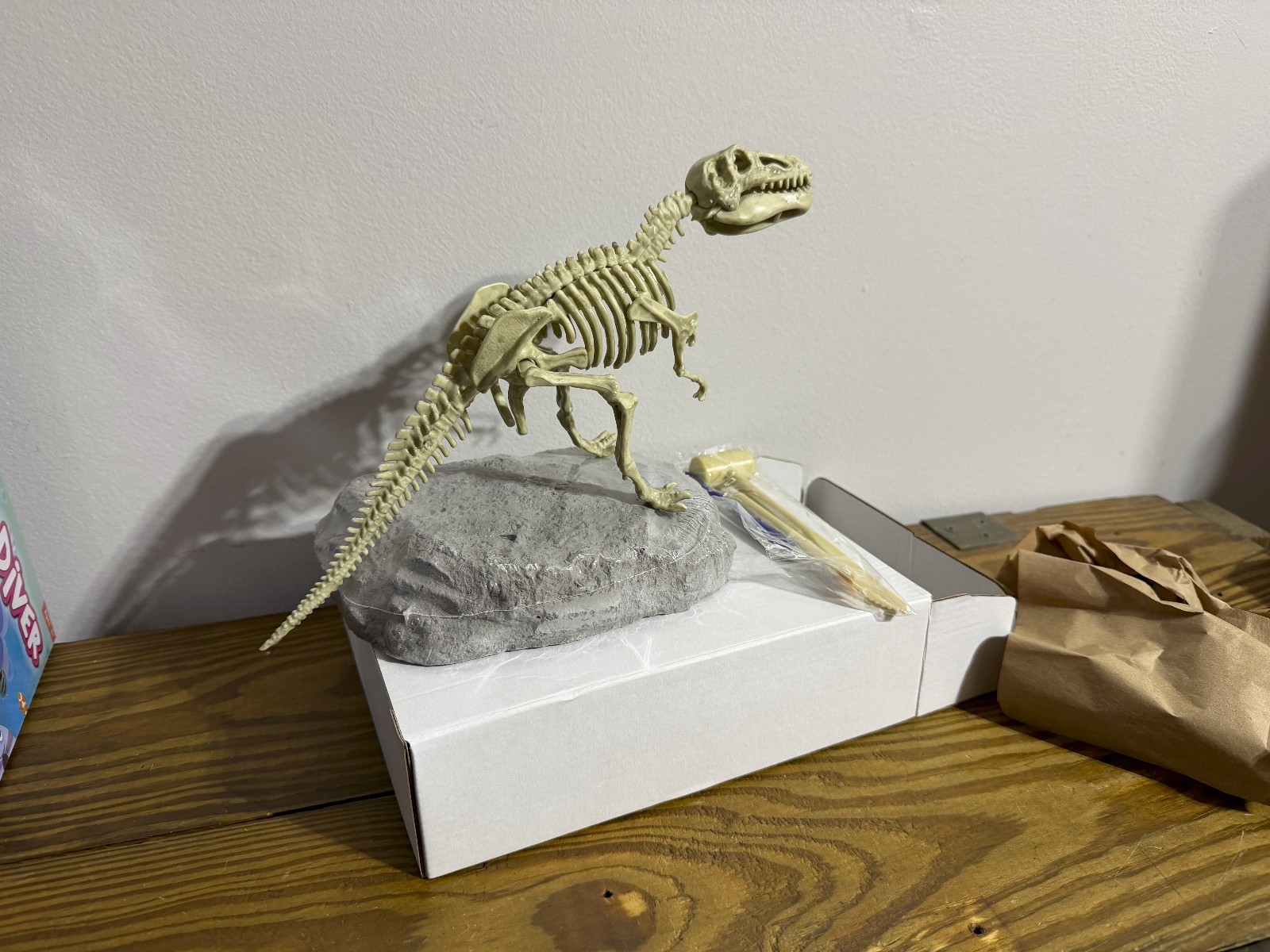 Science Dinosaur Digging Fossil Kit for Kids, Dinosaur Bones Excavation Kit