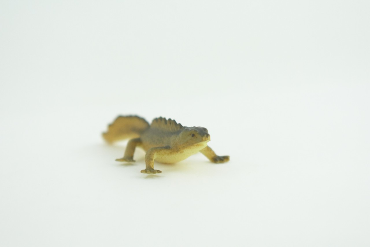 Toy Water Dragon, Sailfin Lizard, Realistic Hand Painted Rubber, 2″ WR48 B197
