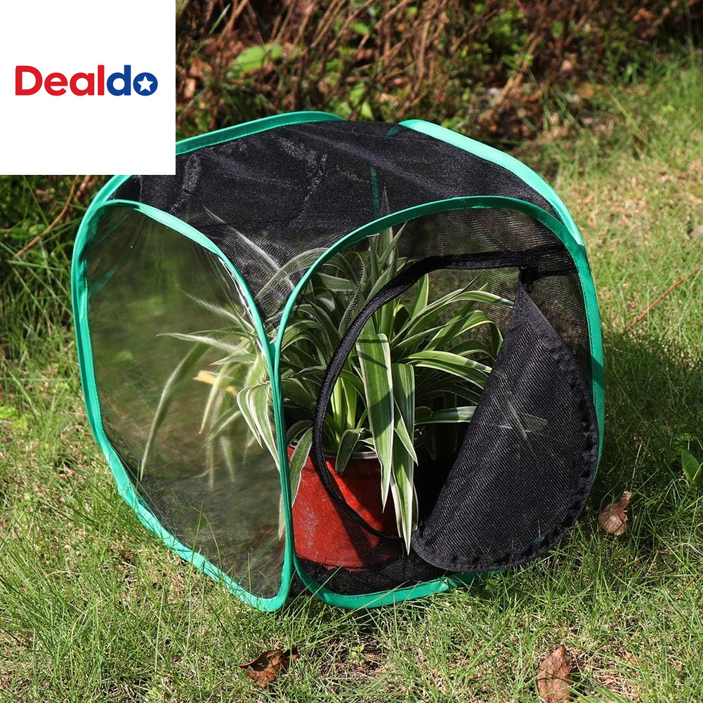 Insect and Butterfly Habitat Cage Terrarium Pop-Up 12 X 12 X 12 Inches