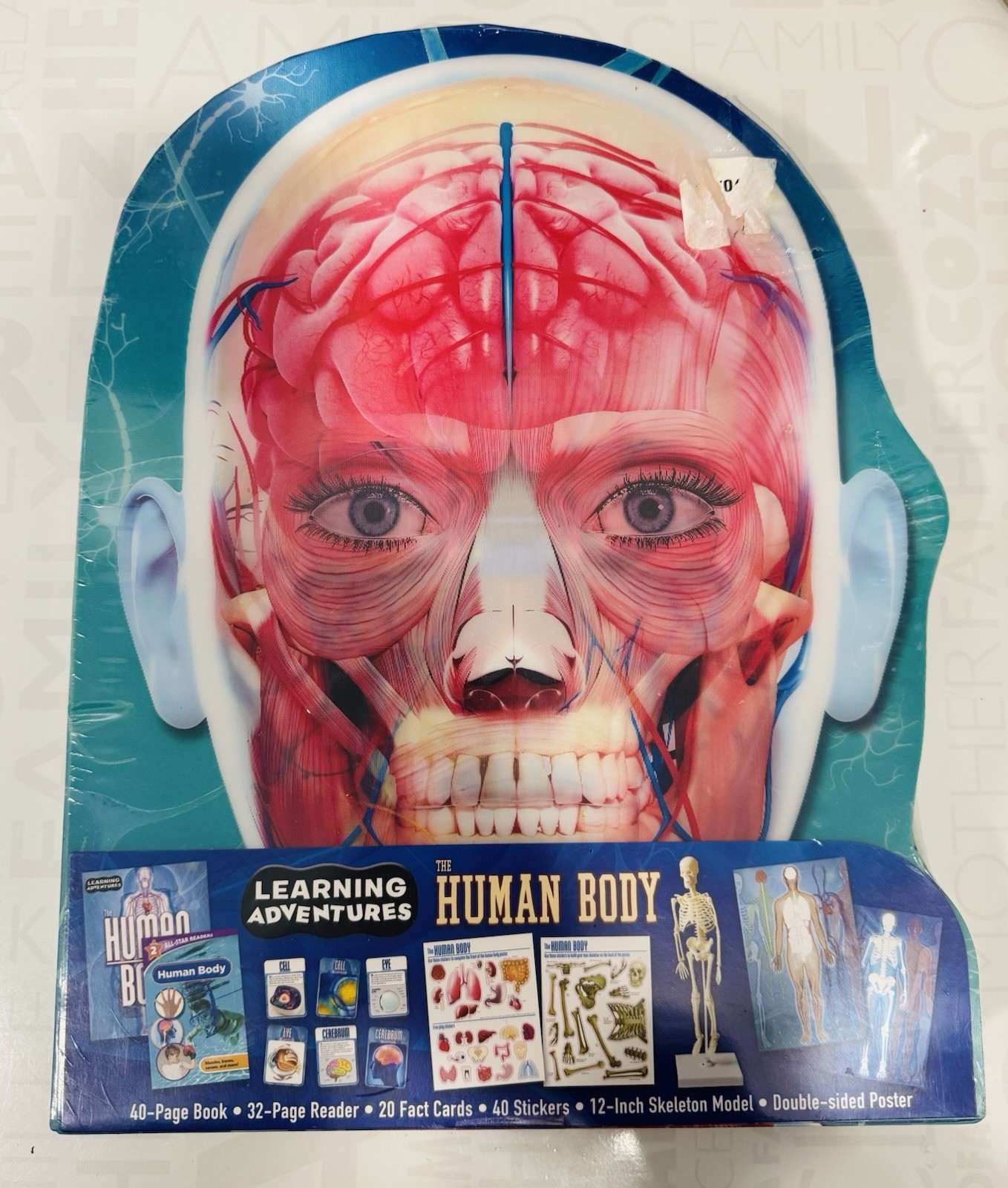 Adventures in Science: The Human Body Interactive Learning Kit 3D