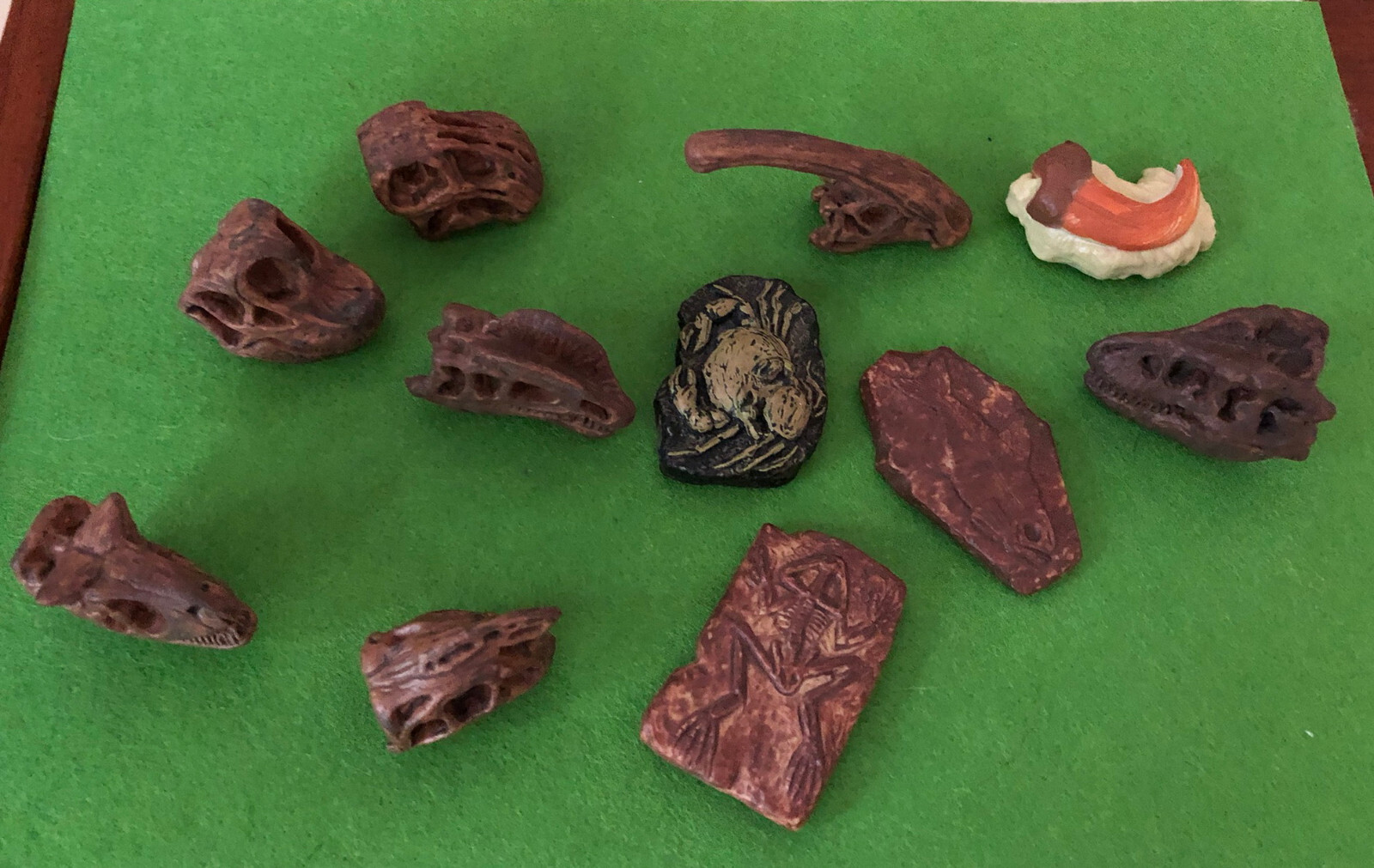 Dinosaur skulls fossils miniature dollhouse decor Toob lot replica cranium