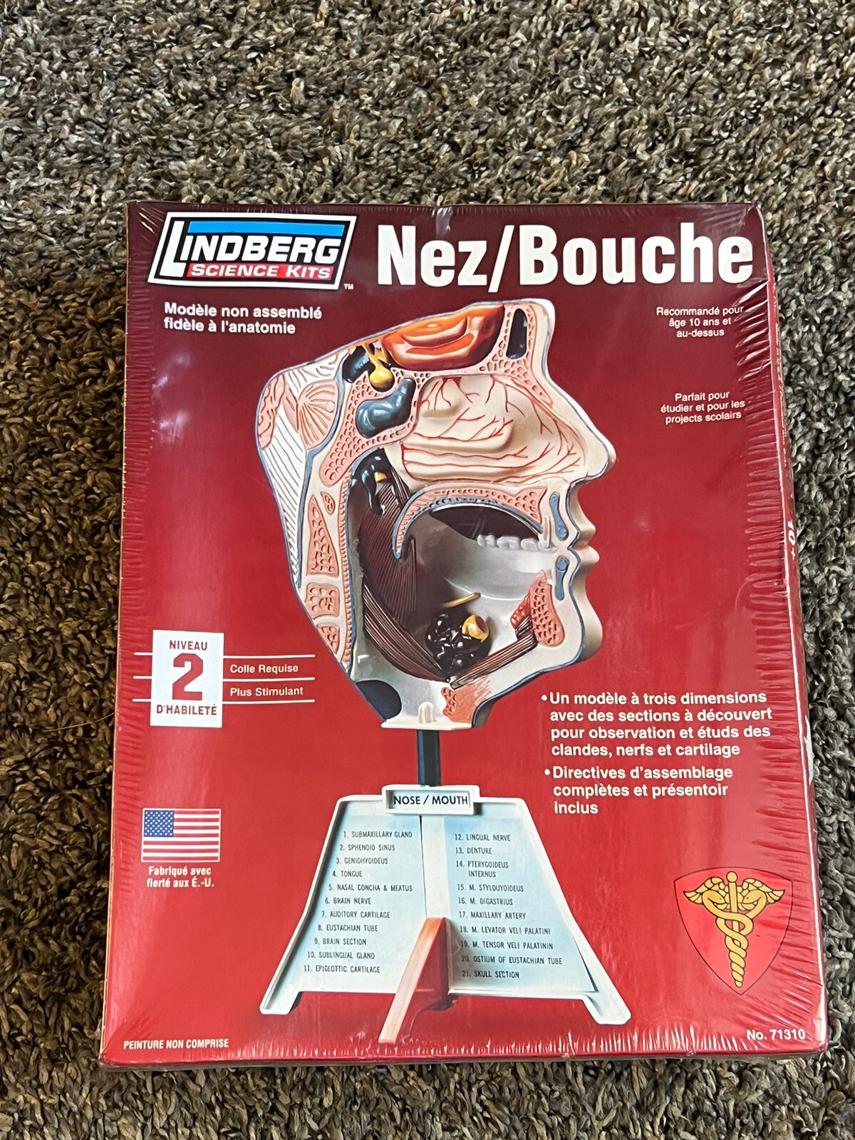 Lindberg Science Kit #71310 Nose/Mouth Anatomically Accurate Unassembled Kit 10+
