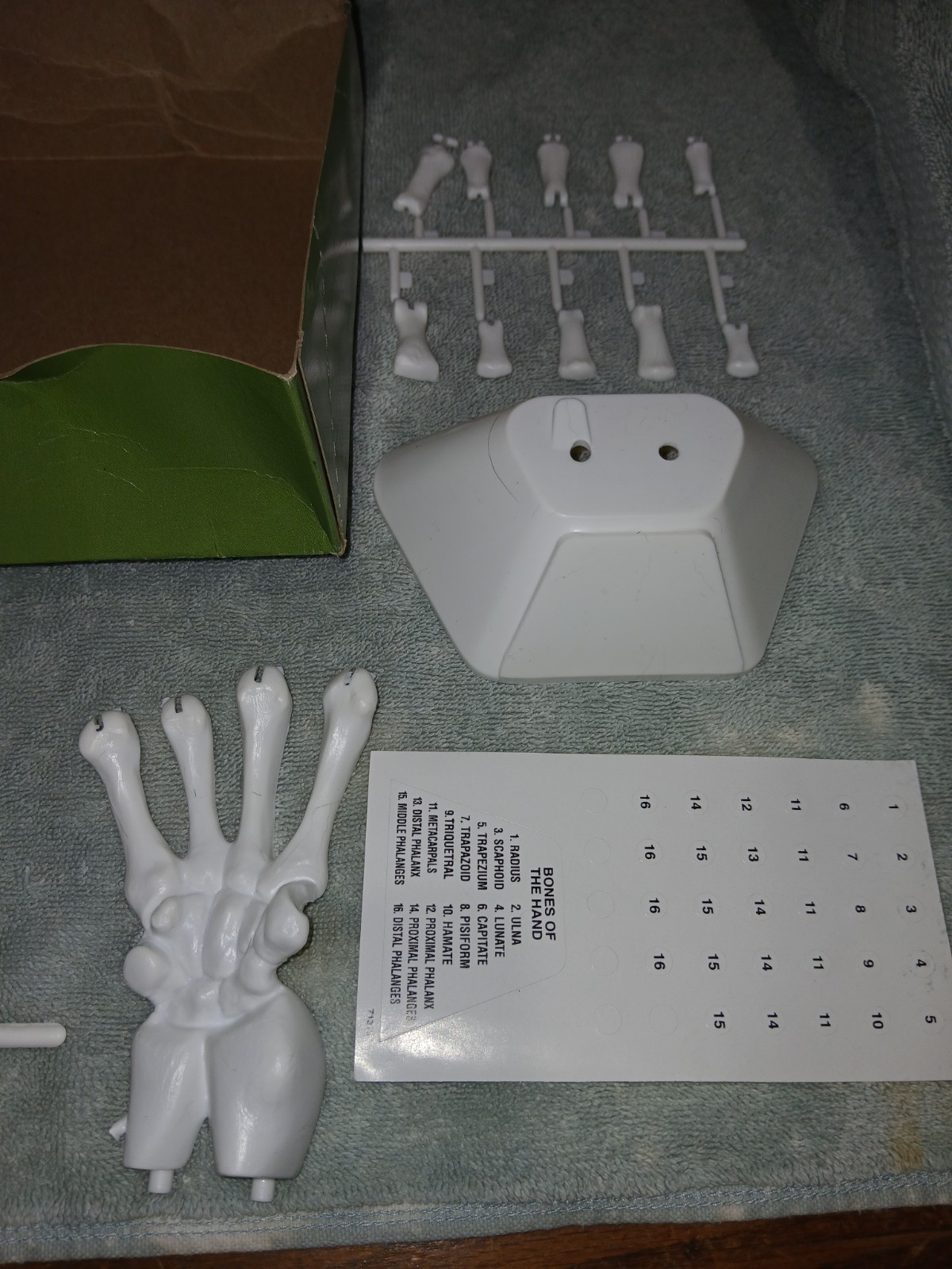 1991 Lindberg Skeletal Hand Life Size Model Kit New Great Prop Or Educational