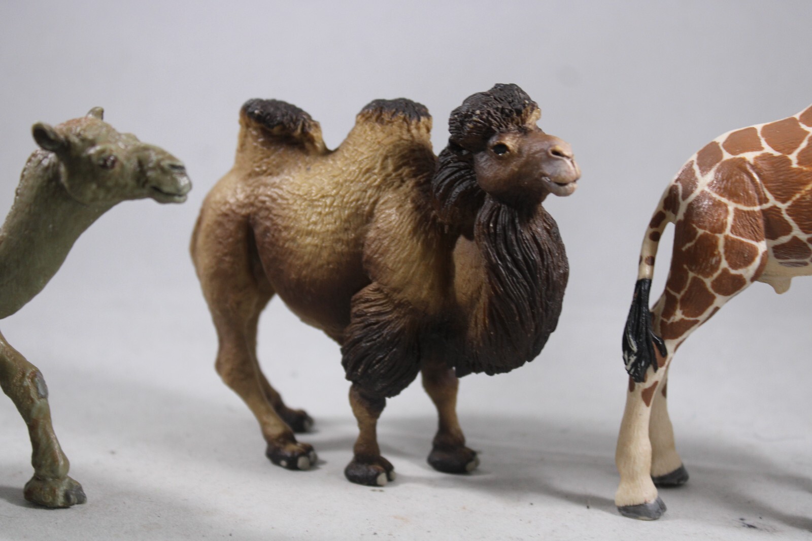 DROMEDARY Bactrain CAMEL Animal Figurine Safari Ltd. toy Figure Giraffe