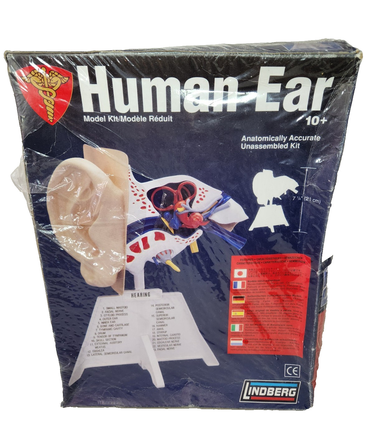 Lindberg Science Kits – Human Ear Unassembled Model Kit – NEW Sealed 71308