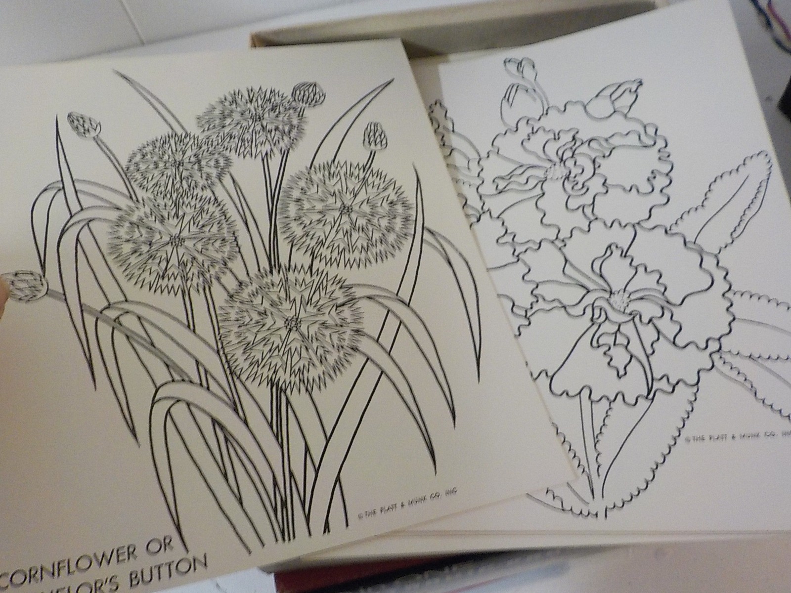 Science Fair 30 In One Electronic Project Lab & knowledge Science & color flower