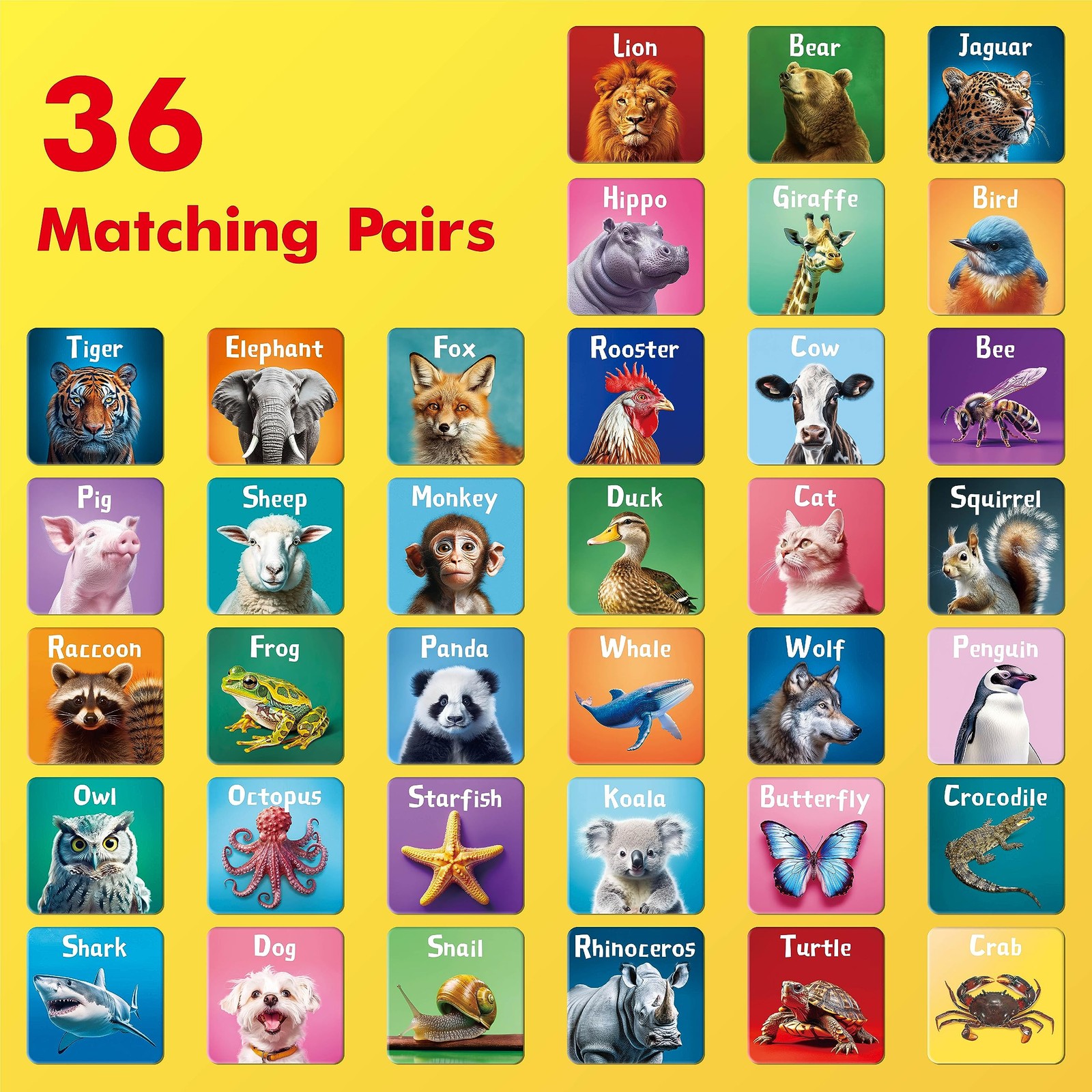 Memory Matching Game Real Animal 72 PCS 36 Pairs for 4 5 6 Years Old Toddlers