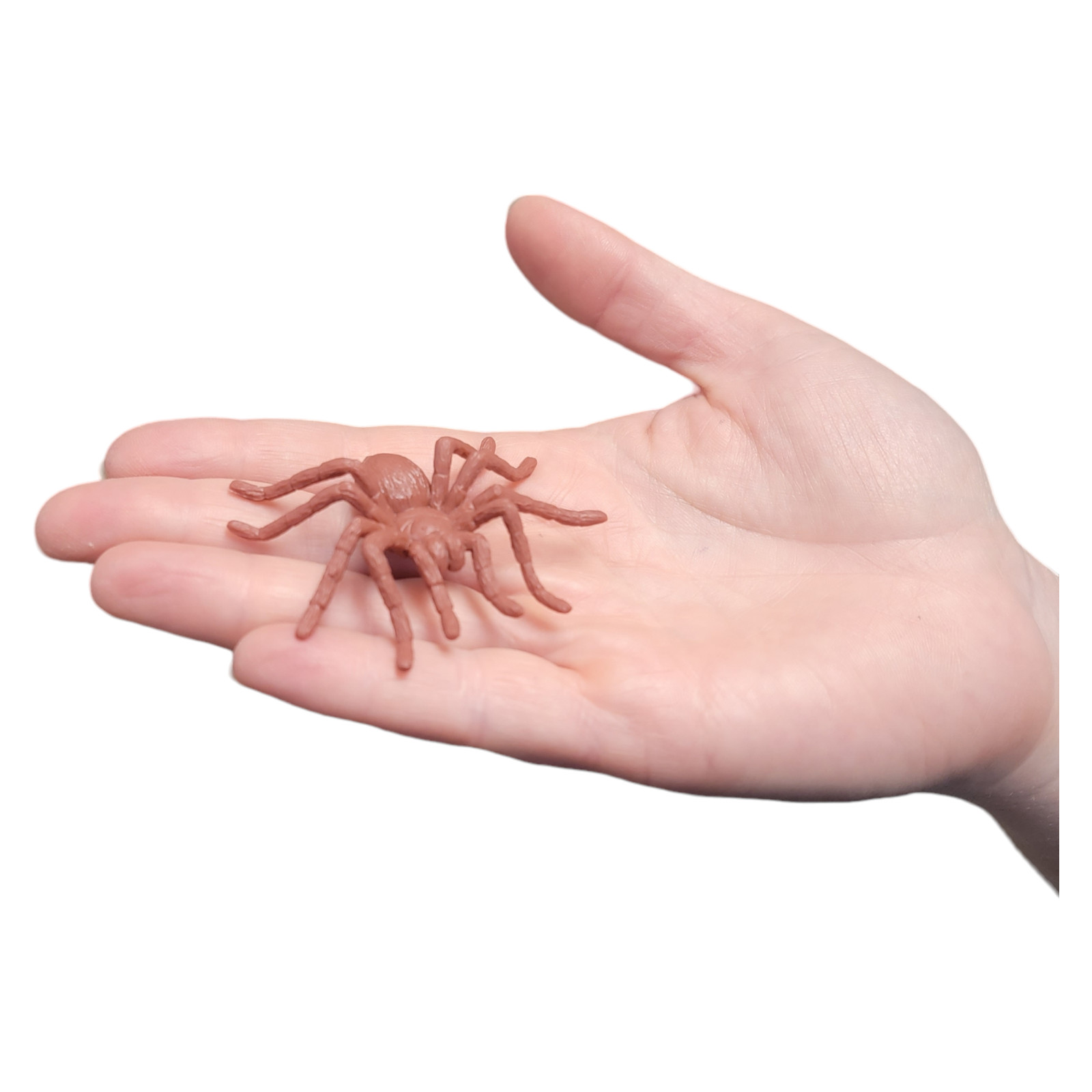 Large 2″-3″ Insect Set (12 Pack) Plastic. 12 Realistic Looking Mini. Lady Bug