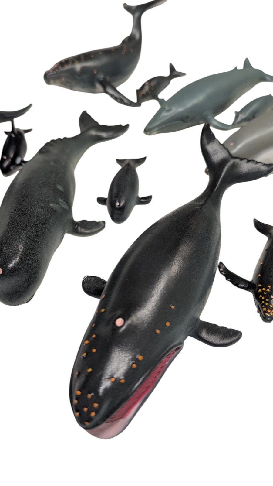 Vintage Whales Of The World 6 Whales w/ Babies 1990 Hard Rubber Toys, Zoobook