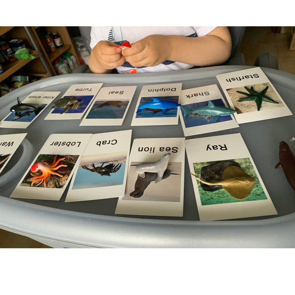 Montessori Animal Match Game Cards Marine Animal Matching Montessori Language…