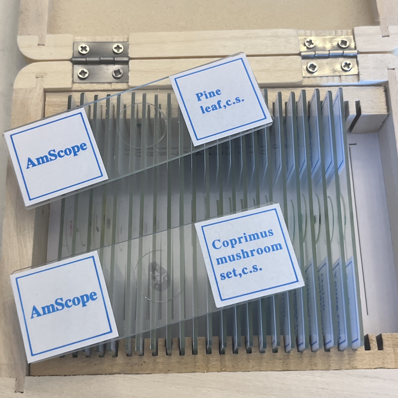 AmScope 25 Prepared Biology Microscope Glass Slides in Wooden Box B49/158