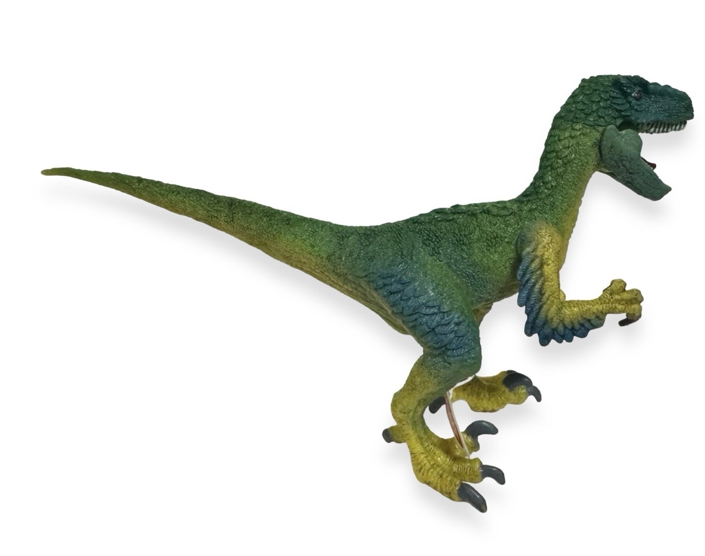 Schleich Velociraptor Dinosaur Figure – AM Lines / New With Tags