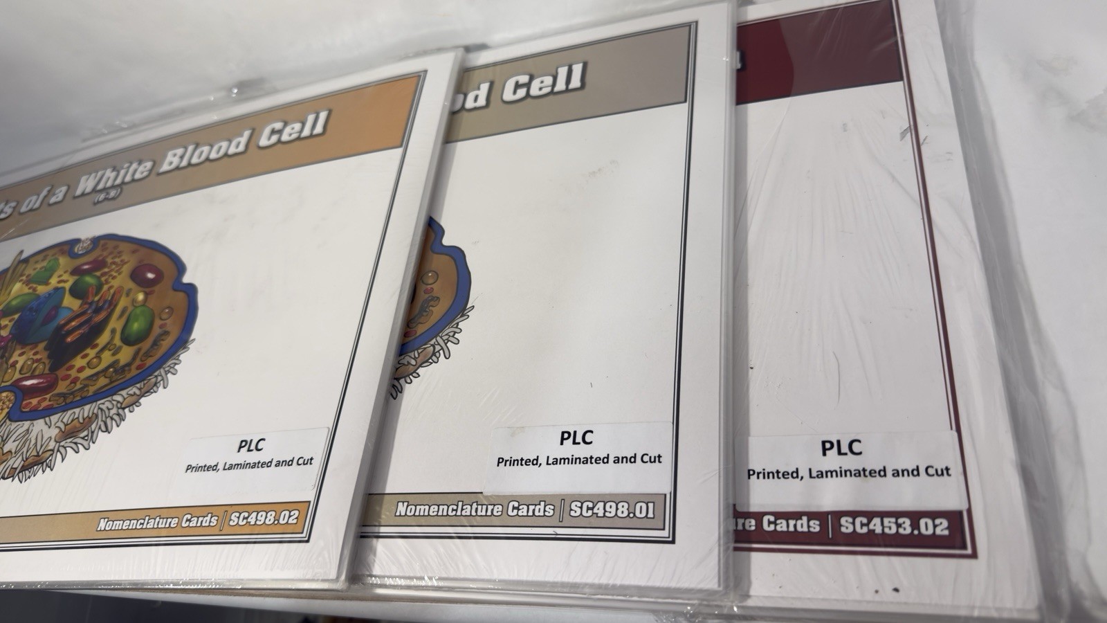 Montessori Nomenclature Cards White Blood Cell (3-6) (6-9) Human Mouth Parts 6-9