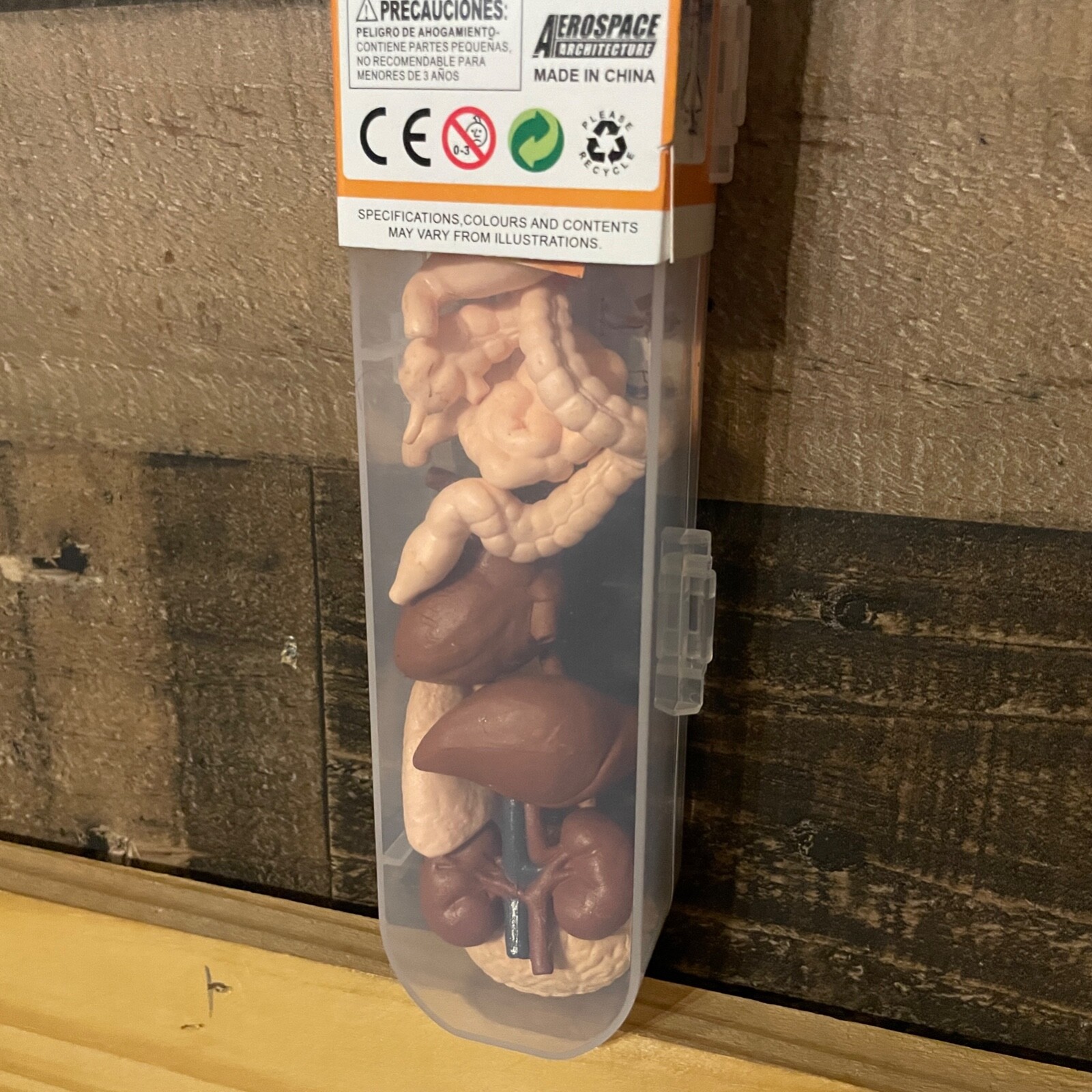 Human Organ Toy Set Aerospace Architecture Play Learn Body Small Parts Gift NEW