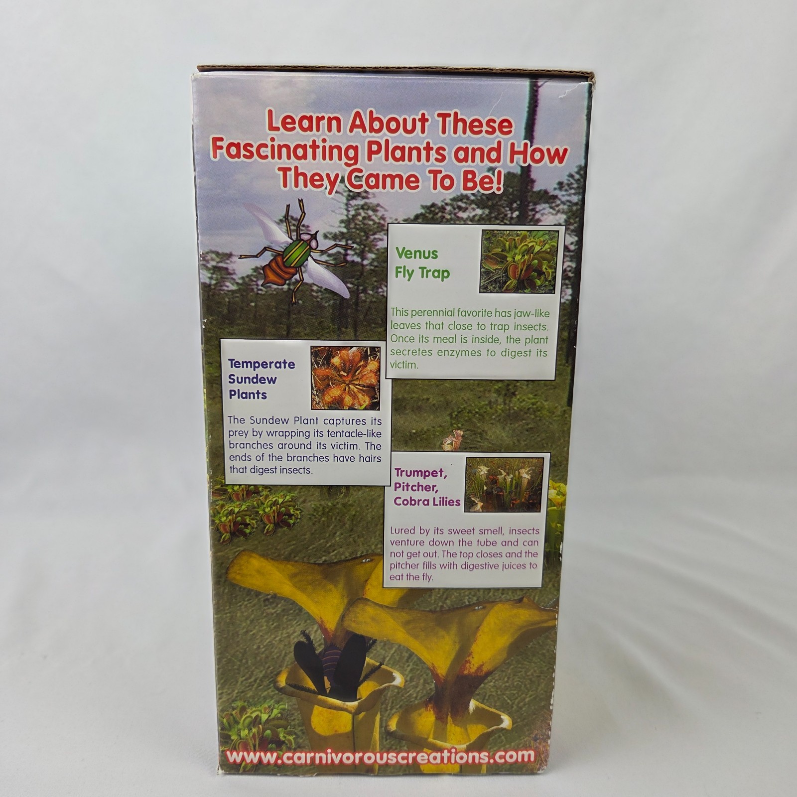 New 2004 Carnivorous Creations Insect Eating Terrarium over 10 plant varieties