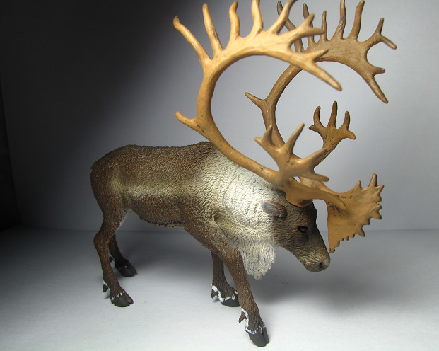 2017 NEW Collecta Animal Toy / Figure Woodland Caribou