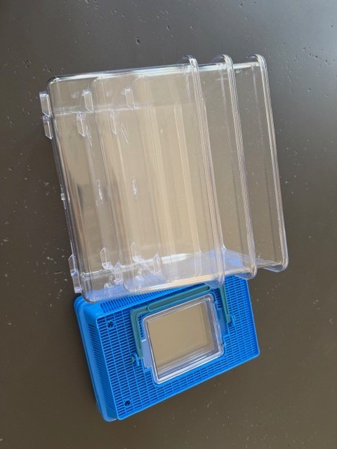 Kids Outdoor Bug Catcher Large Container Insect Specimen Acrylic (GR206)