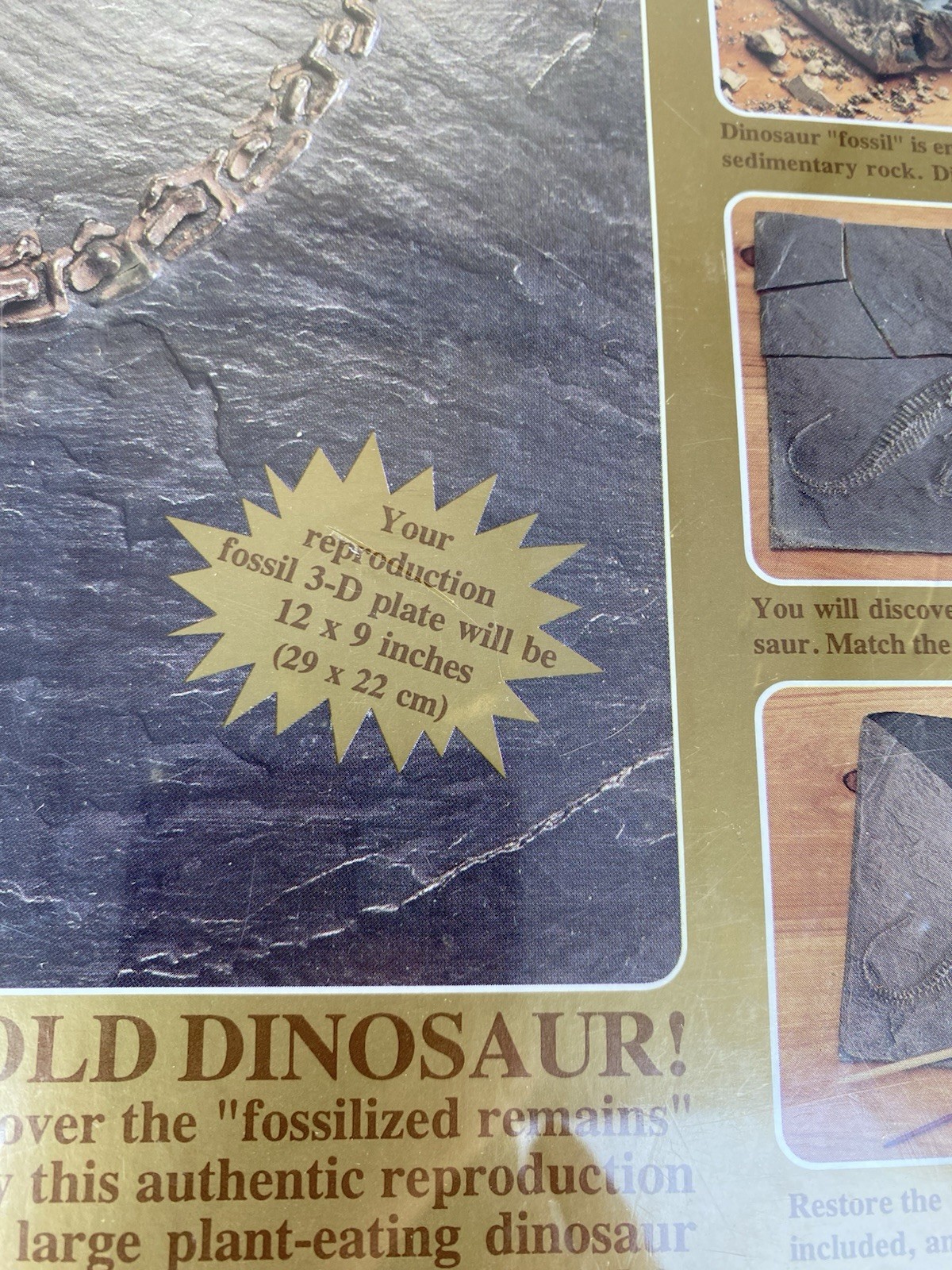 Dinosaur Excavation Kit Expedition Brontosaurus Skeleton Fossil Restoration 832