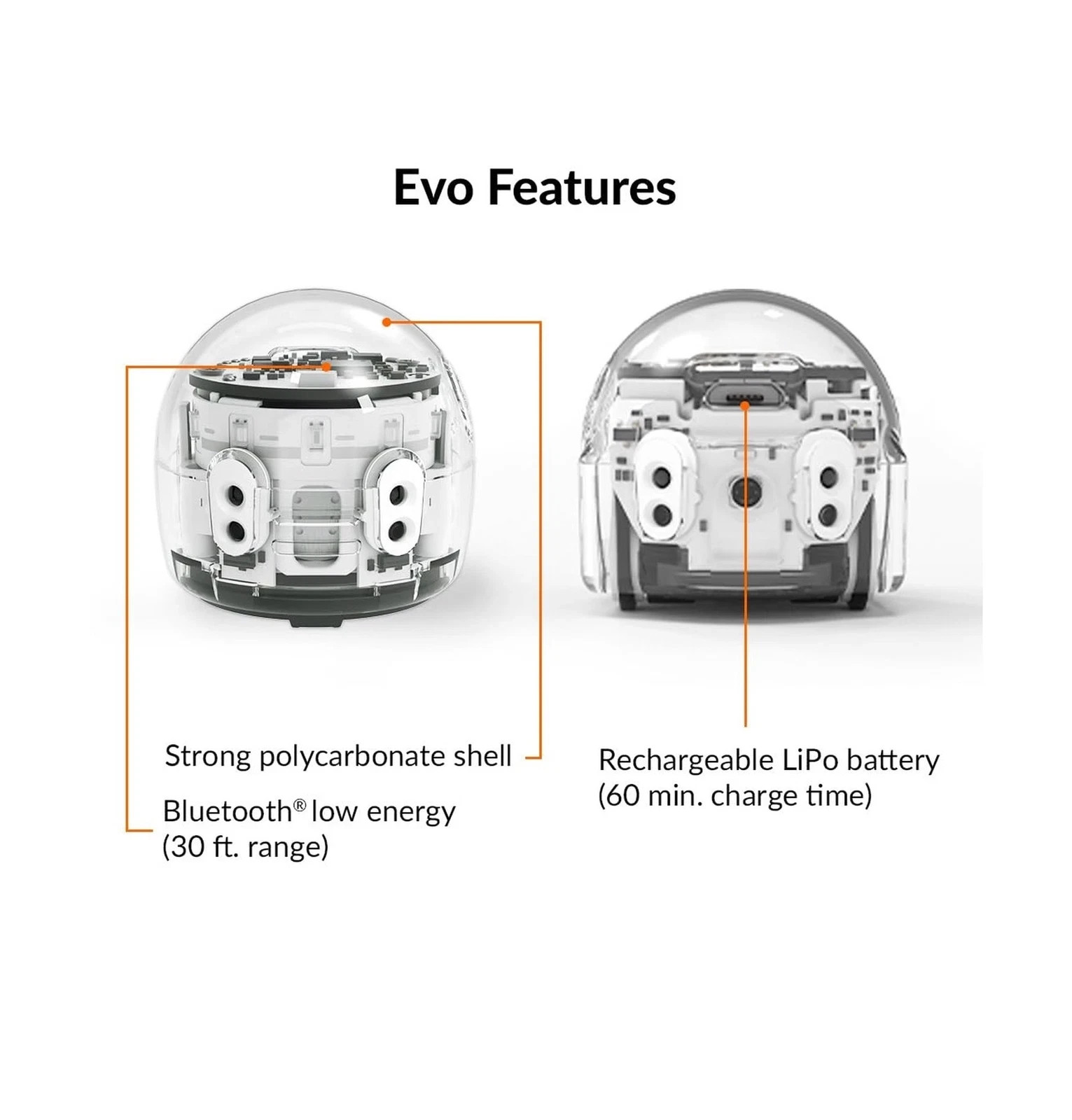 Evo Entry Kit: Interactive Coding Robot, Kids Ages 5+, Includes Color Code Ma…