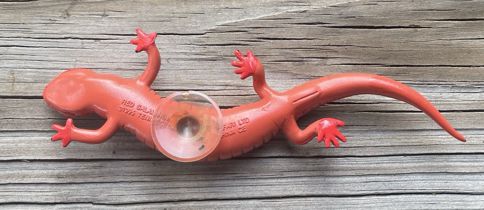 Red Salamander 1995 Safari Ltd Vintage Rubber Toy Figure Tennessee Aquarium Cute