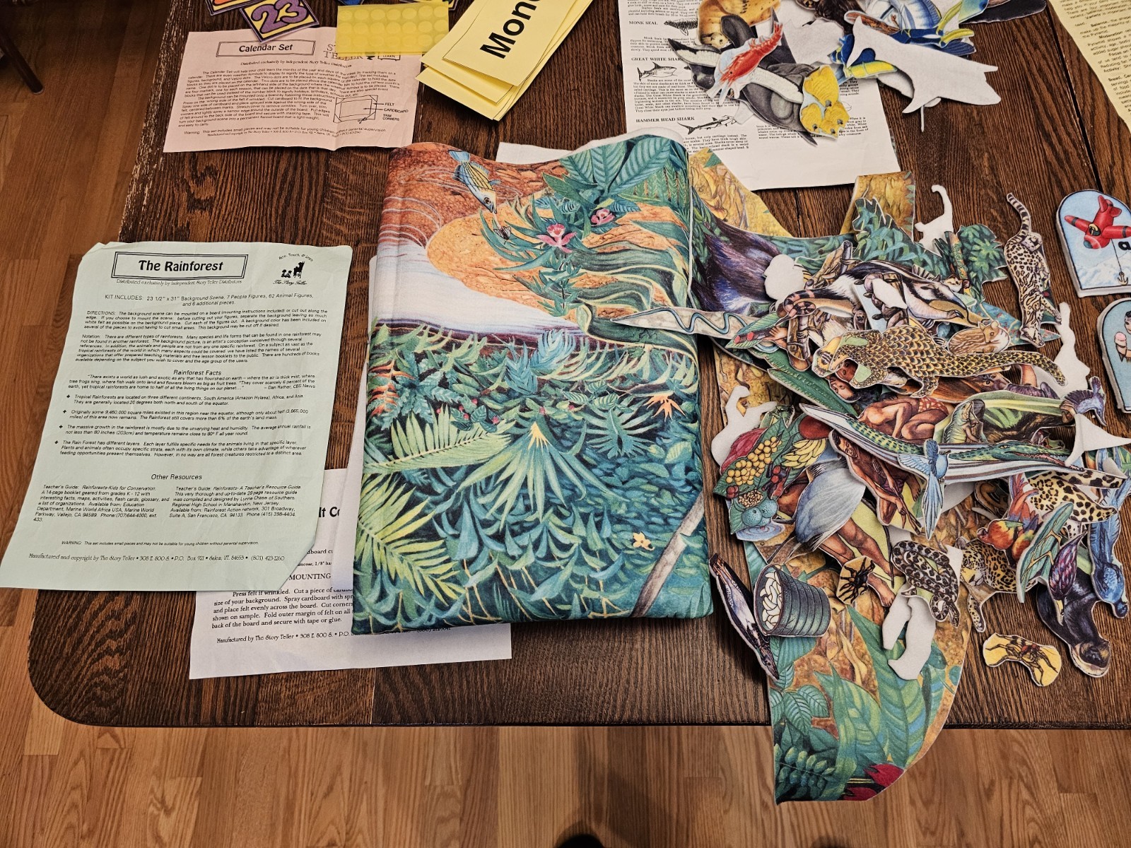 The Story Teller Felt Ocean Animals ABCs Calendar Food Group Rainforest 5 Groups