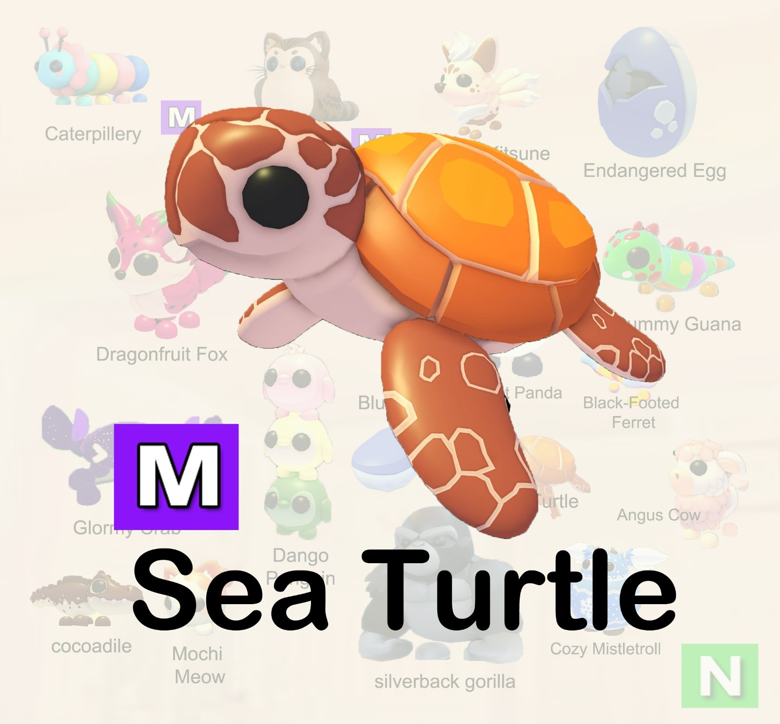 Sea Turtle Mega – Cheap – Adopt