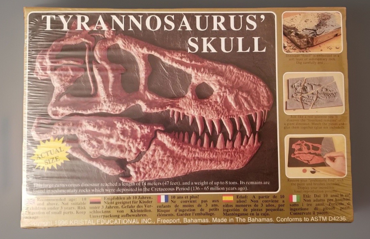 New Sealed Tyrannosaurus Rex Dinosaur Skull Excavation Kit Ages 10 & up