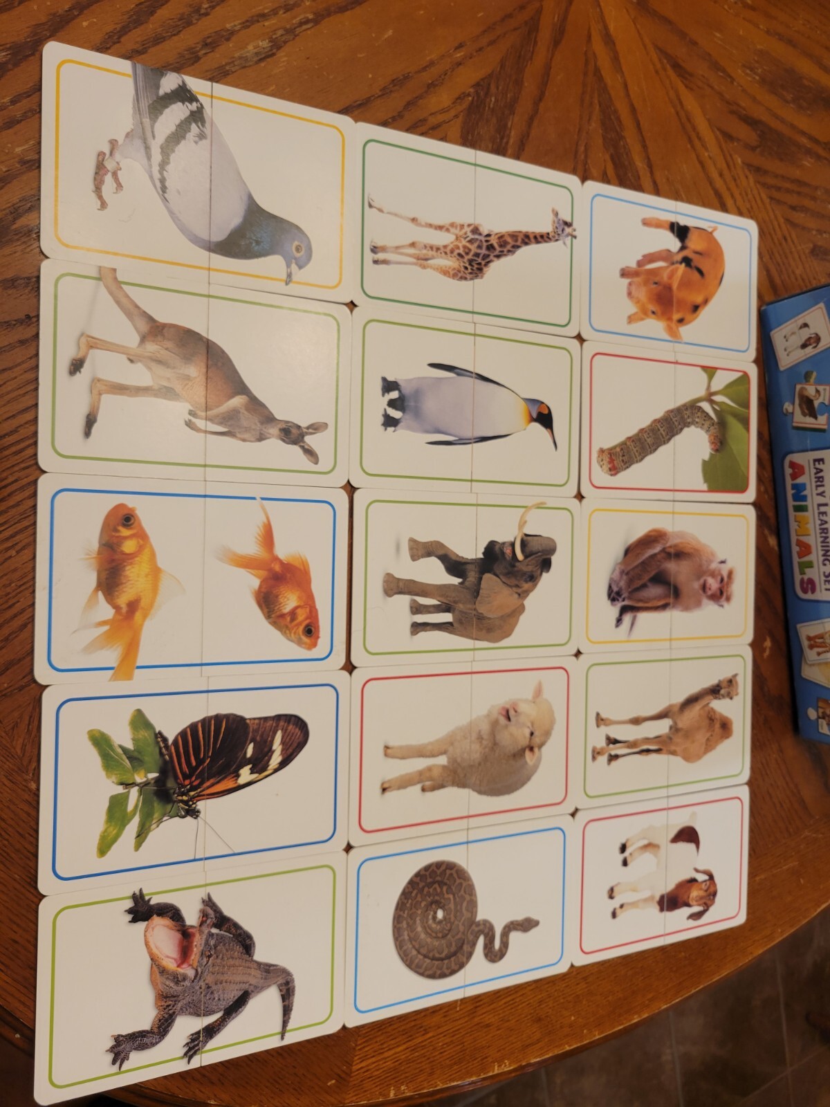 Educational Early Learning Animals Slide Flash Cards 28 pc Floor Puzzle Poster