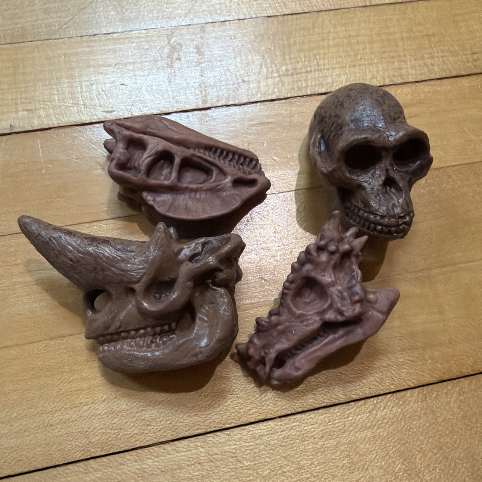 Lot Of Toy Dinosaur Bones Skulls Skeletons For Sensory Table