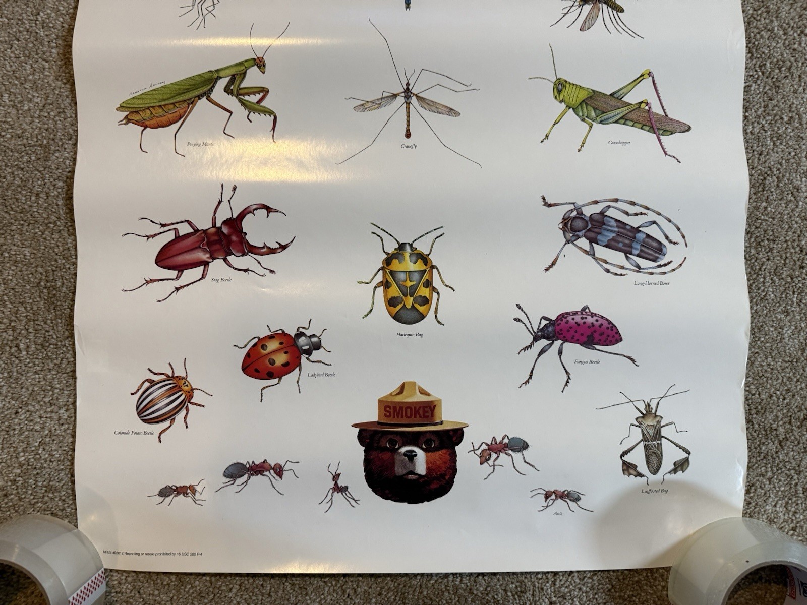 VTG The Forest Belongs To Every Living Thing Smokey The Bear Insects Poster Sign