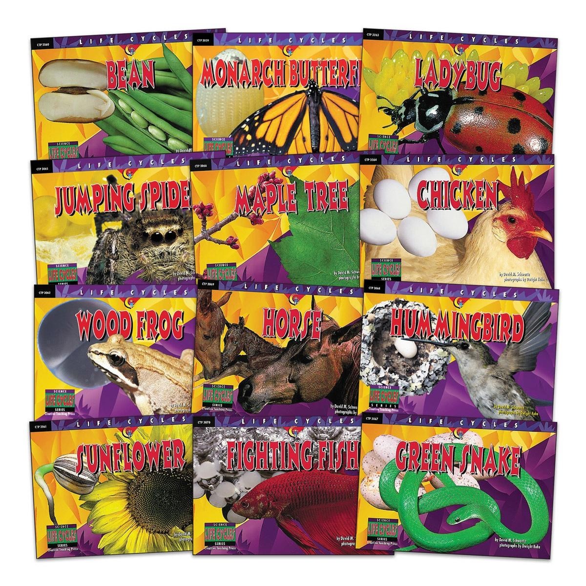Creative Teaching Press Lifecycle Book Set