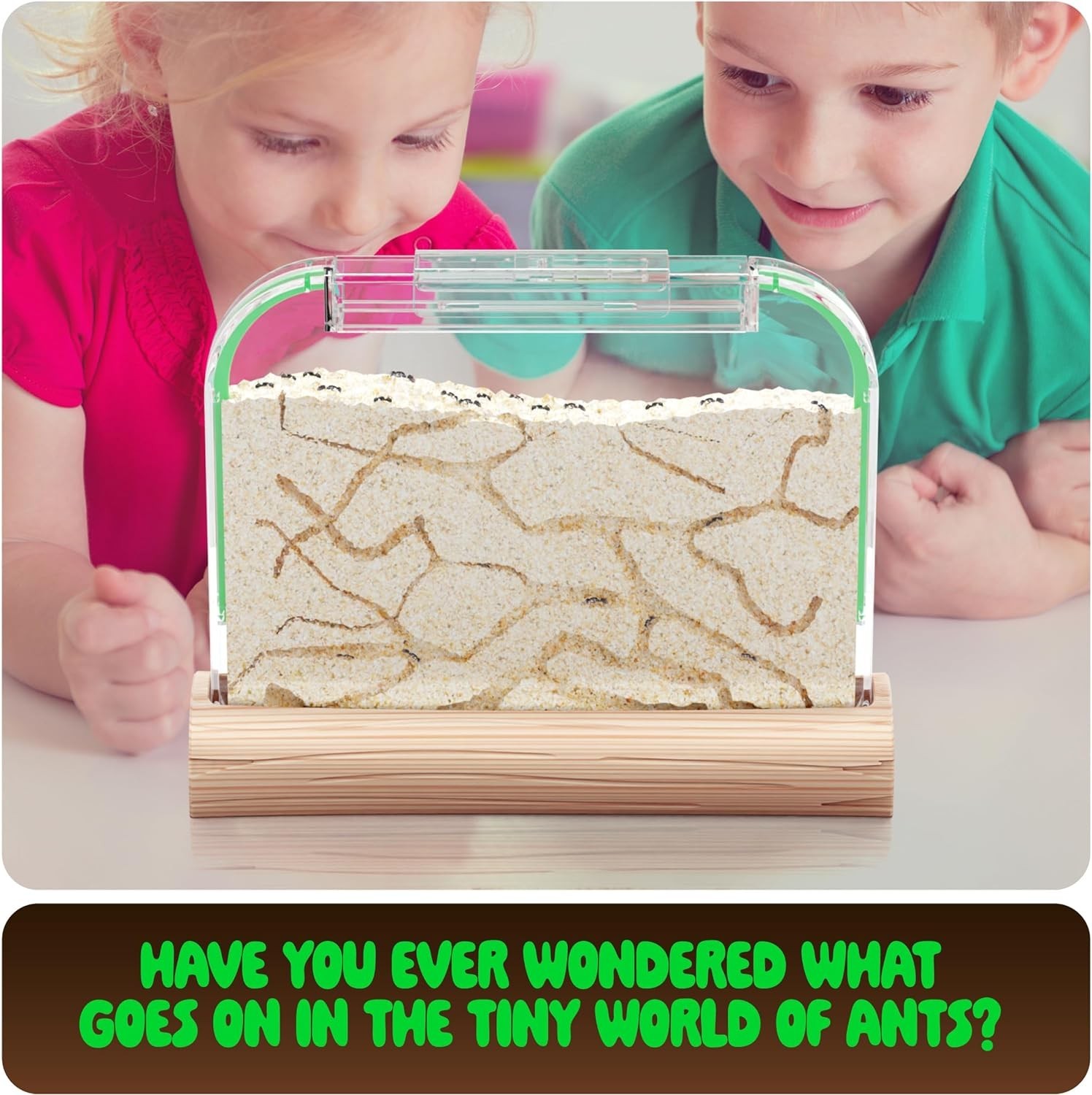 Ant Farm Kit for Kids – Farms Colony – Includes Ants Voucher – Sand Habitat K…