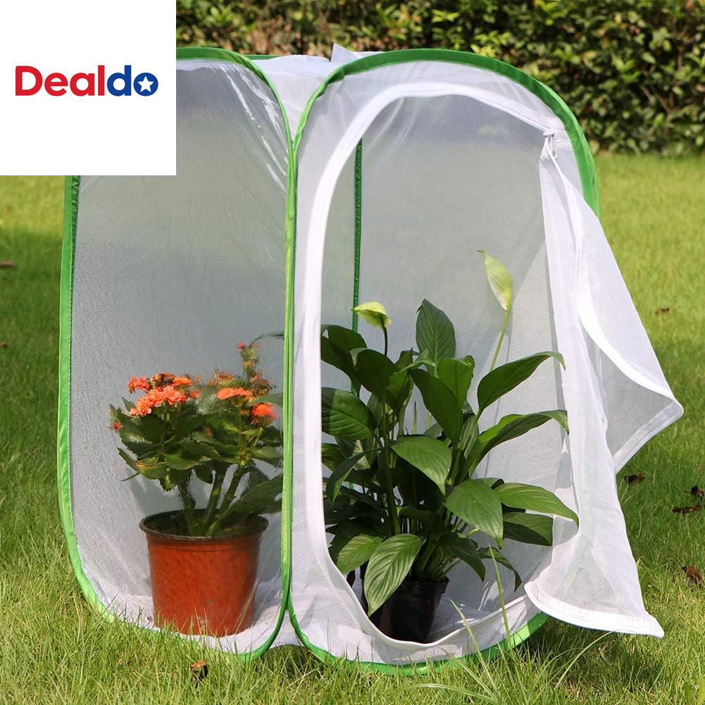 Insect and Butterfly Habitat Cage Terrarium Pop-Up 23.6 Inches Tall