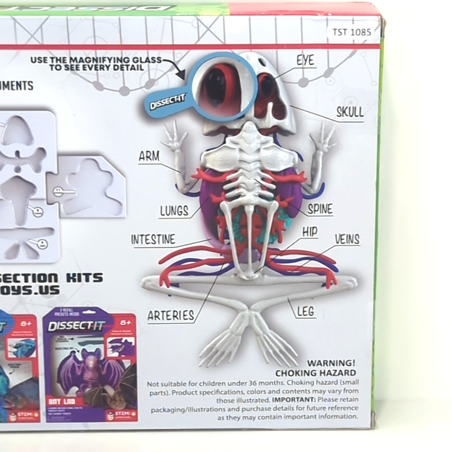 Rehco Toys 2019 STEM Dissect-It Frog Synthetic Dissection Kit New & Sealed NIB